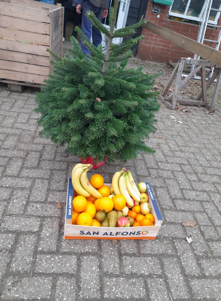 Bewoners van BethSan veel plezier met deze Kerstboom van Boerderijwinkel Lensink in Lintelo